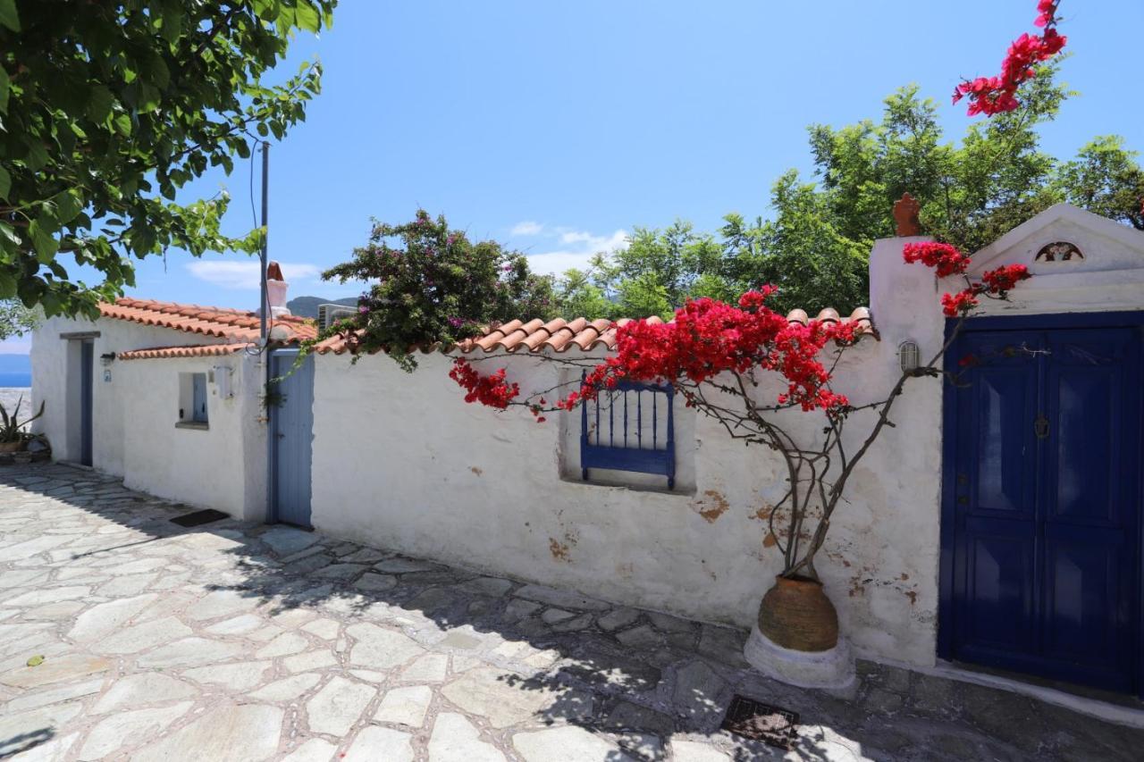 Villea Seaview Apartments Skopelos Zewnętrze zdjęcie