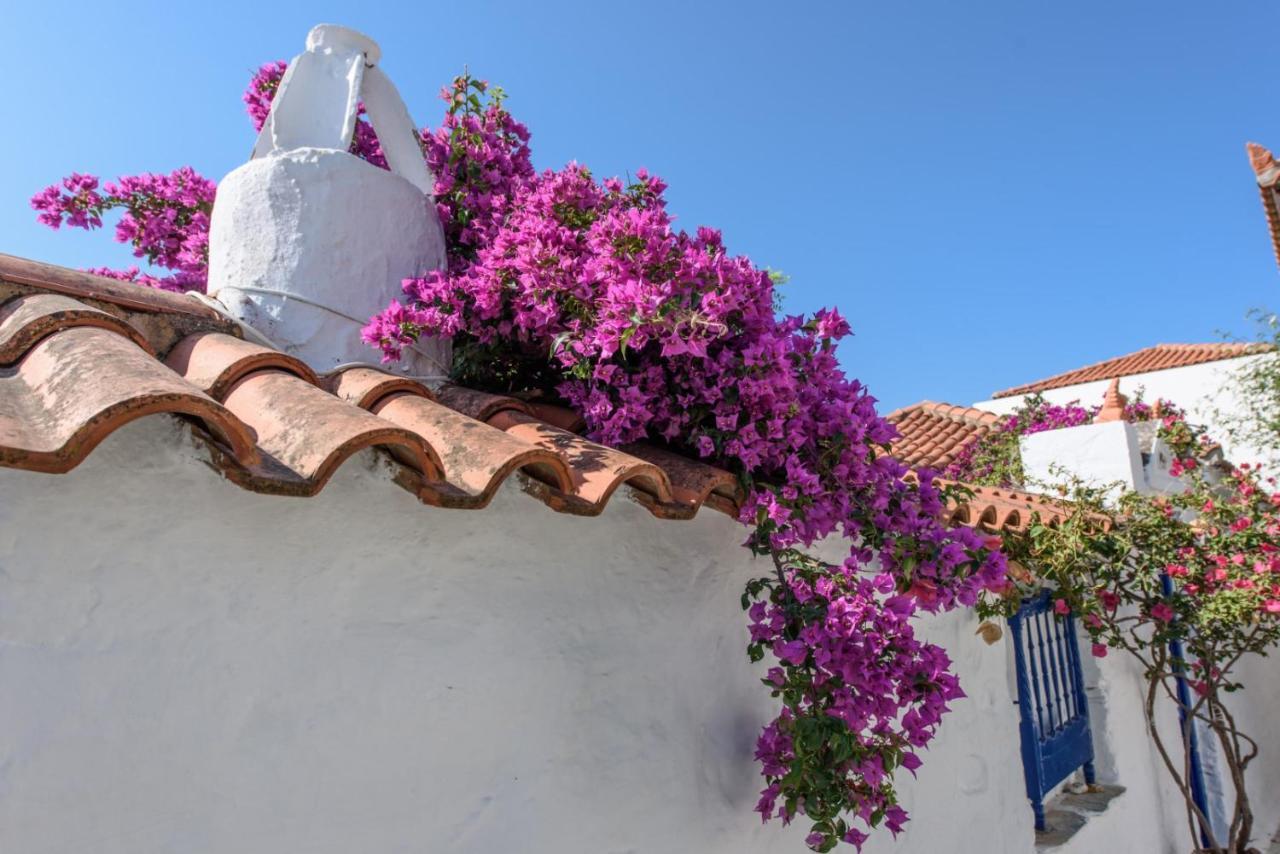 Villea Seaview Apartments Skopelos Zewnętrze zdjęcie