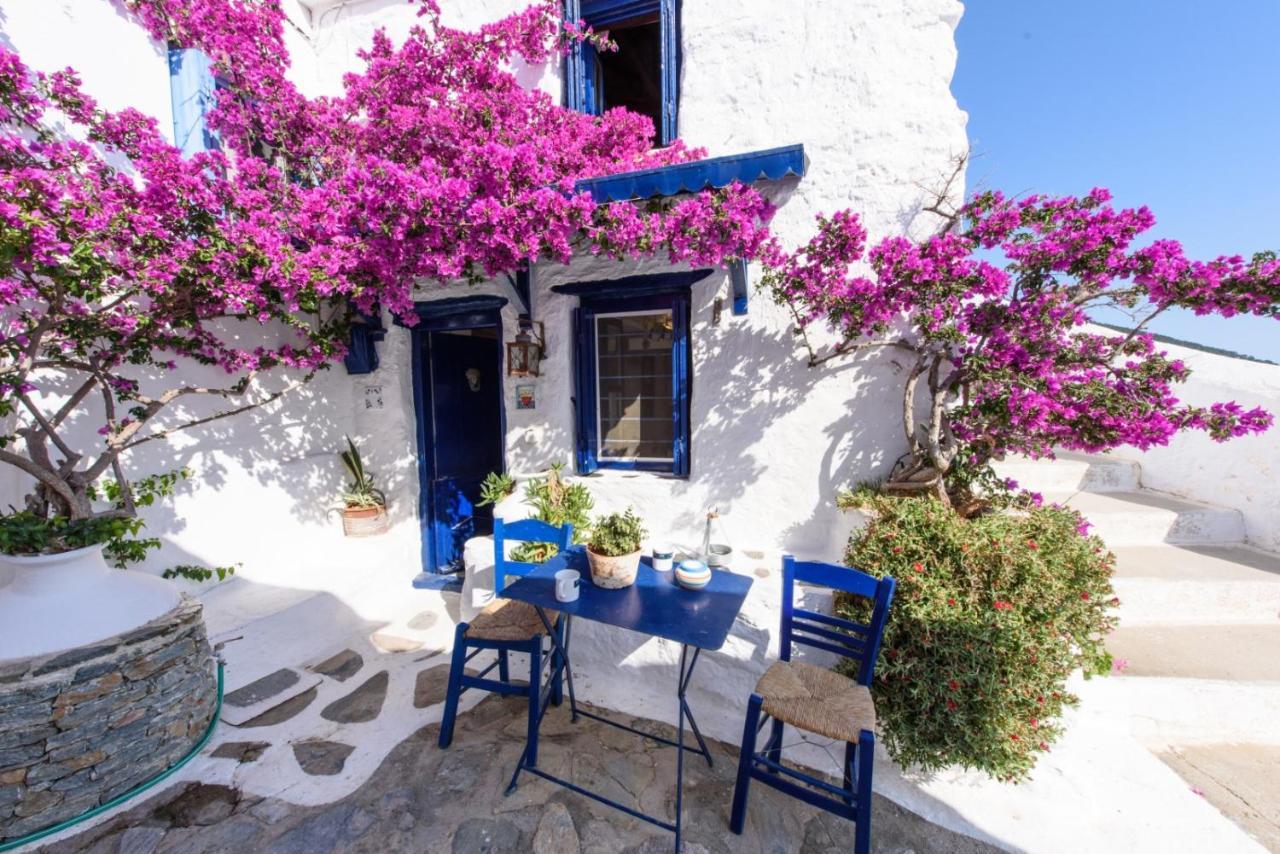 Villea Seaview Apartments Skopelos Zewnętrze zdjęcie
