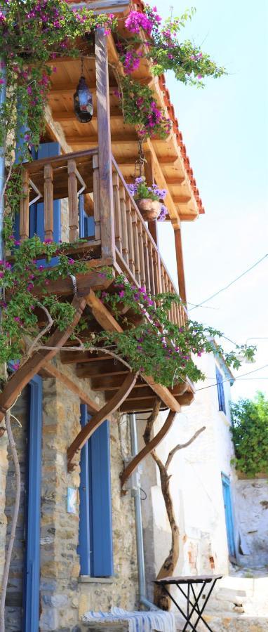 Villea Seaview Apartments Skopelos Zewnętrze zdjęcie